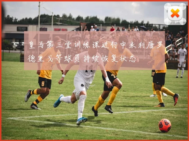 皇马第三堂训练课进行中米利唐罗德里戈等球员持续恢复状态